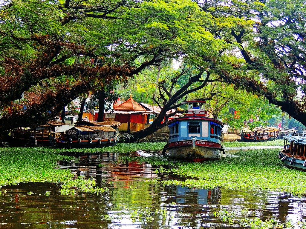 Backwaters in Kerala - Places to visit in India