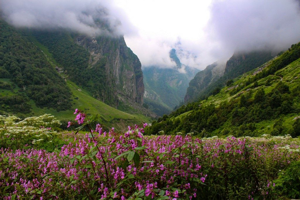 Valley of Flowers in Uttarakhand - Places to visit in India