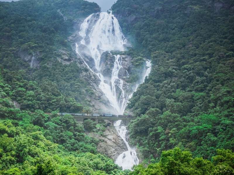 Dudhsagar Waterfalls - Goa