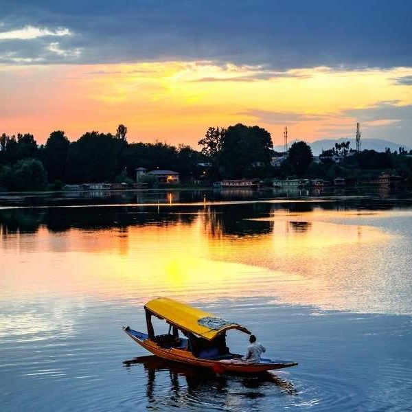 Shikara Ride in Dal Lake, Srinagar - Kashmir