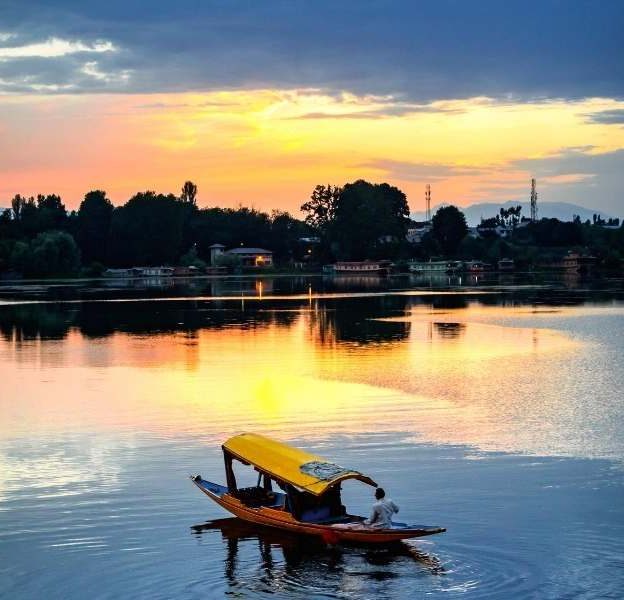 Shikara Ride in Dal Lake, Srinagar - Kashmir