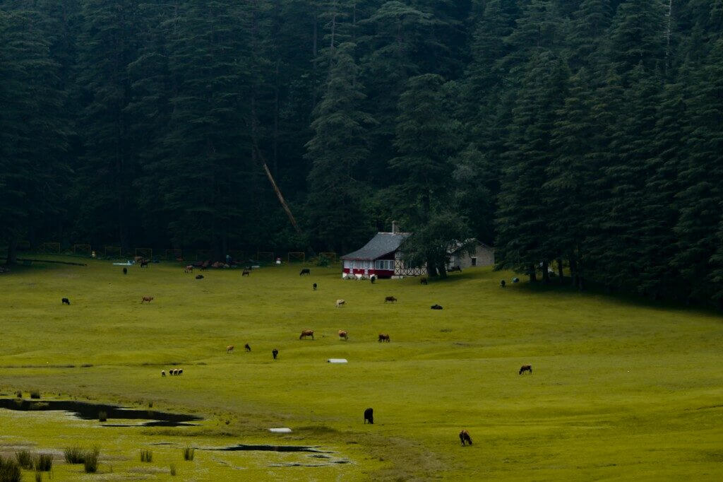 Khajjiar Ground near Dalhousie, Himachal Pradesh