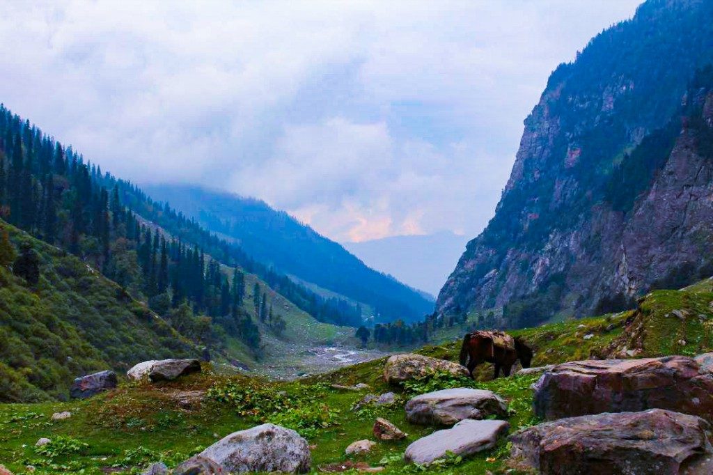 Deo Tibba Base Camp - Himachal Pradesh Treks