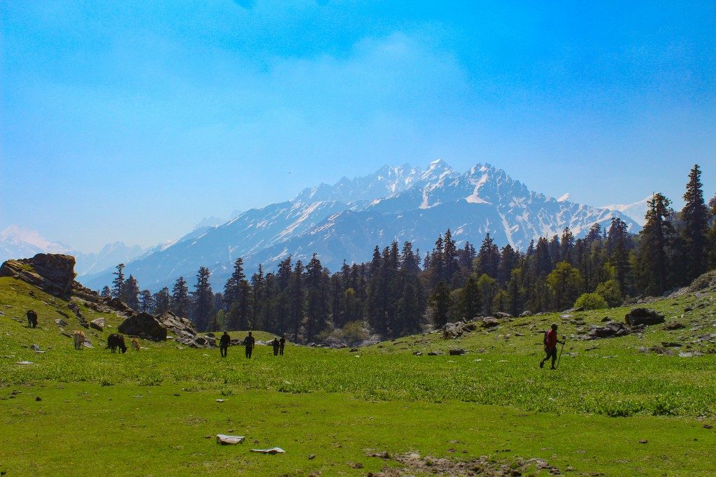 Kuari Pass - Best Uttarakhand Treks