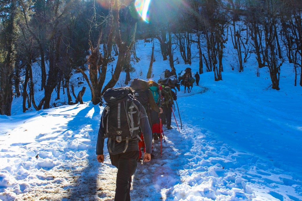 A shot from Kedarkantha Trek - Trekking Benefits