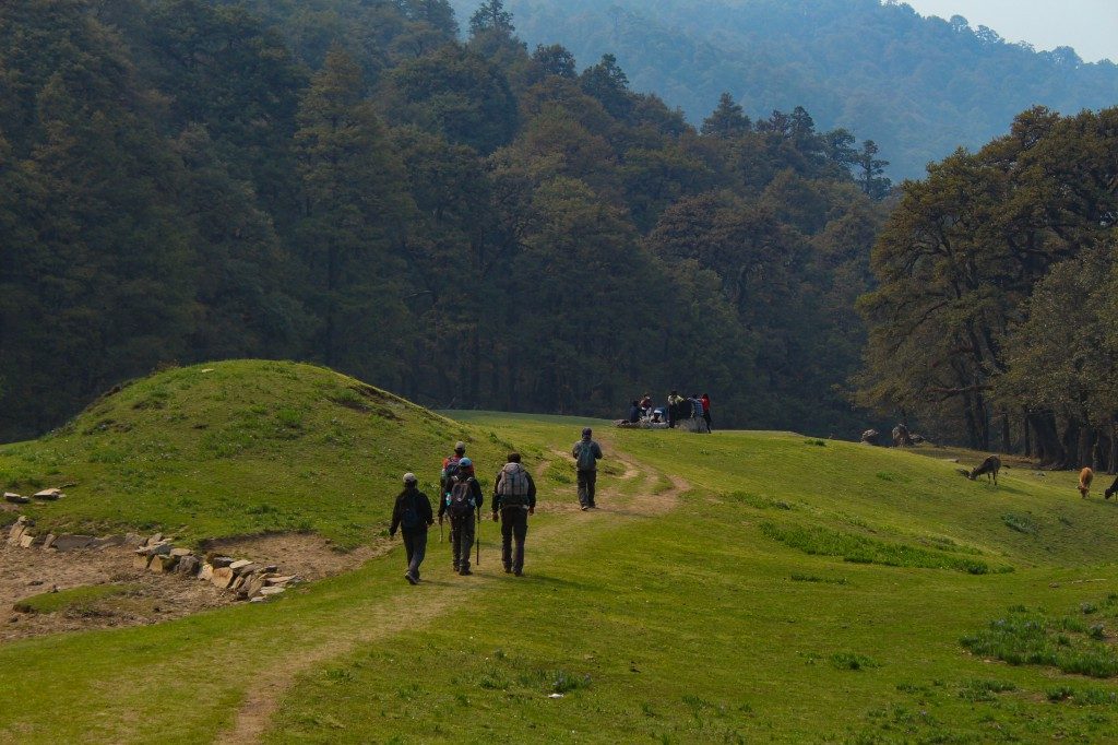 A shot from Pangarchulla Peak Trek - Trekking Benefits