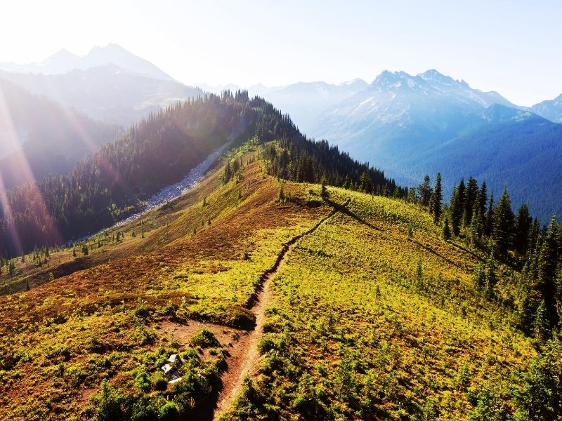 Snowline & Treeline