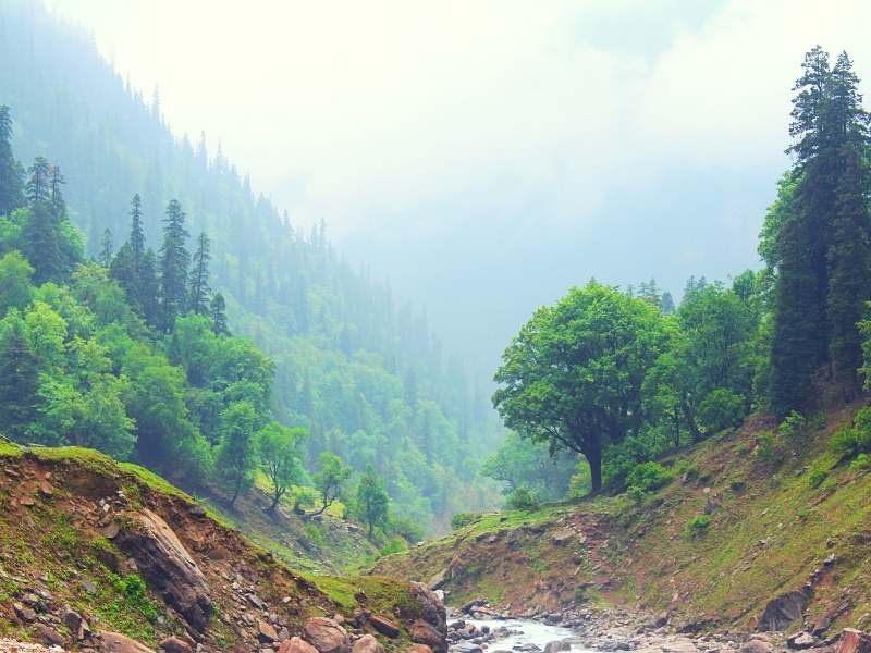 Rohru in Pabbar Valley