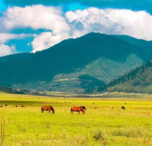 Phobjikha Valley - Places to visit in Bhutan