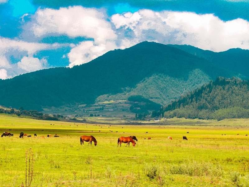 Phobjikha Valley - Places to visit in Bhutan