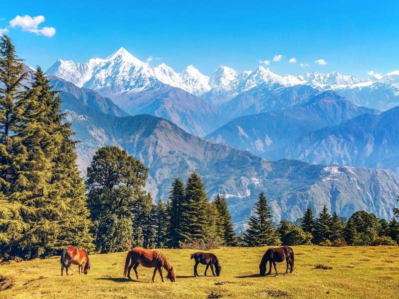 Munsiyari in Pithoragarh, Uttarakhand - Offbeat Places in India