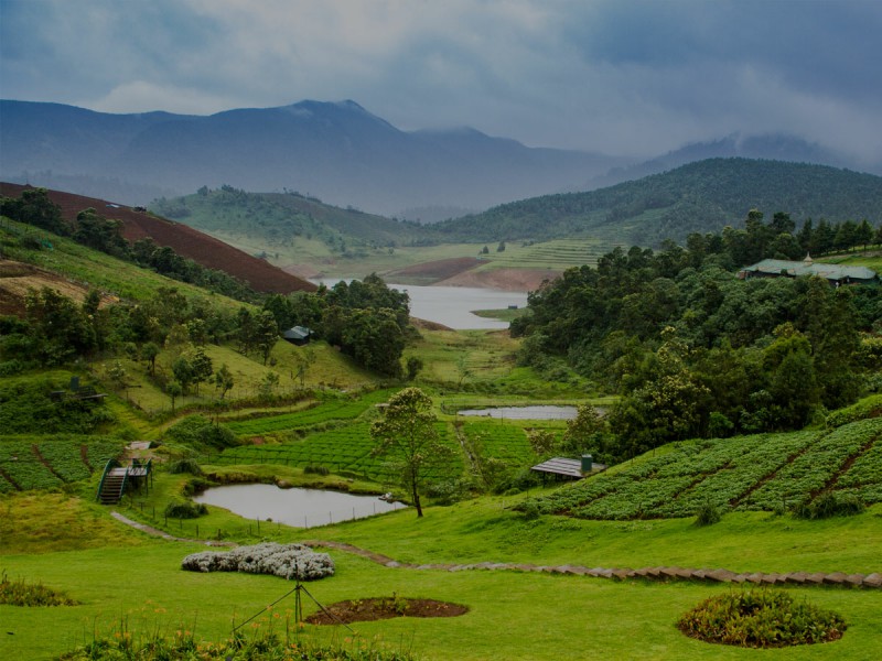 Ooty, Tamil Nadu