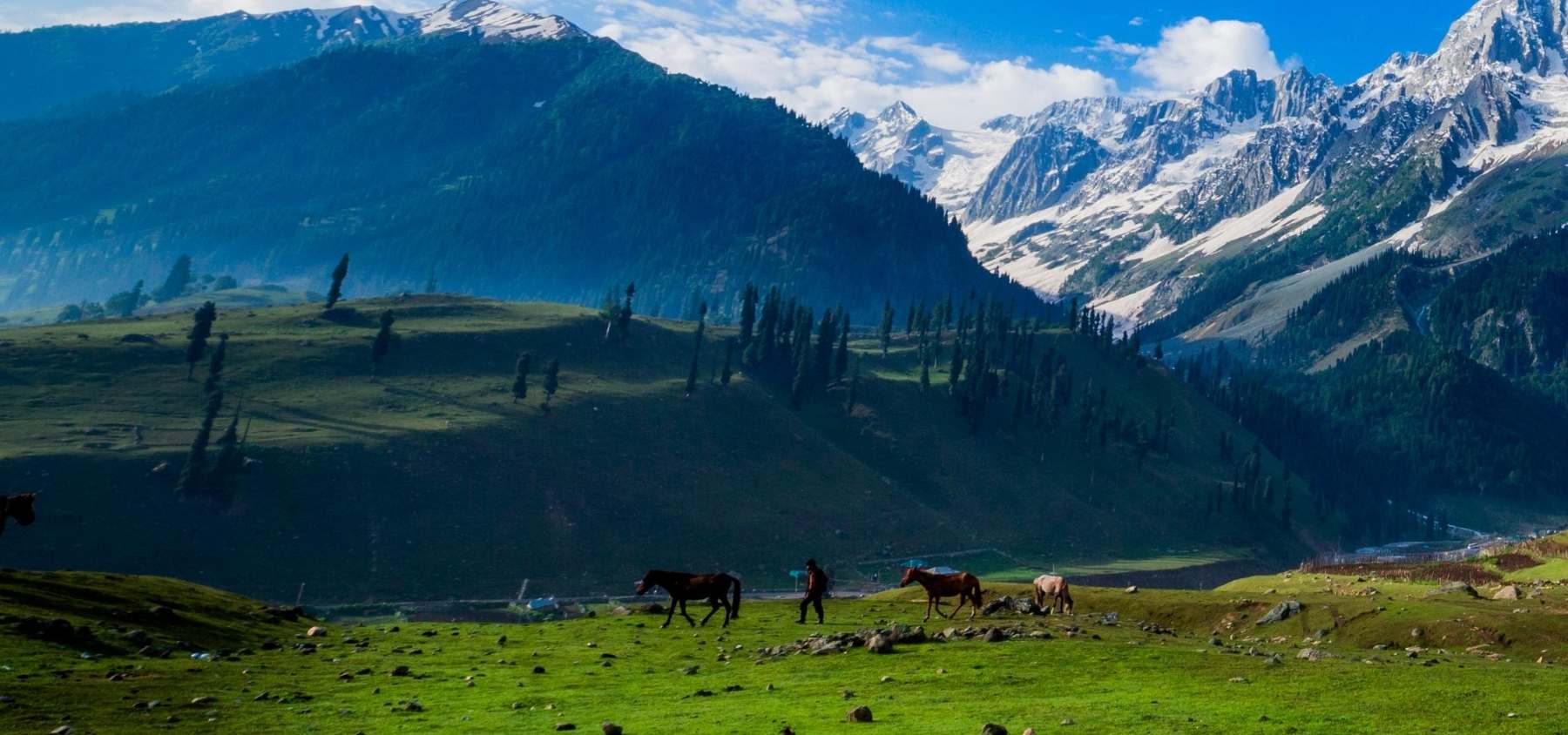 Kashmir Tour - 6 Nights 7 Days - Srinagar Gulmarg Pahalgam Sonamarg