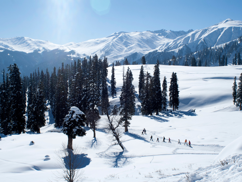 Gulmarg - Ski Destination - Kashmir