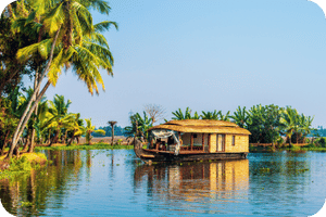 Explore Kerala backwaters