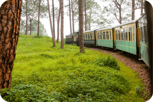 Kalka Shimla Toy Train Ride