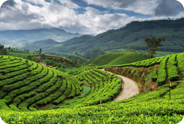 Kerala Destination Page Image 1 - Kerala Tour Packages