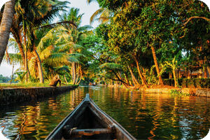 Kumarakoram - Places to Visit in Kerala