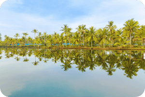 Munroe Island - Places to Visit in Kerala