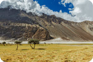 Nubra Valley