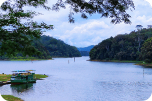 Thekkady - Places to Visit in Kerala