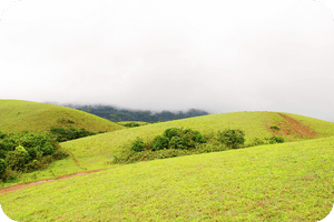 Vagamon - Places to Visit in Kerala