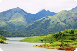 Wayanad - Places to Visit in Kerala