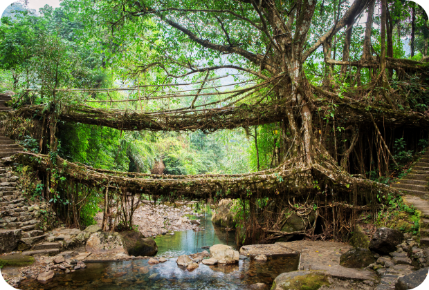 Meghalaya2